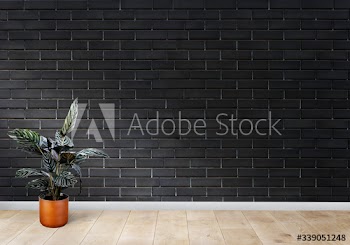Room with a black brick wall
