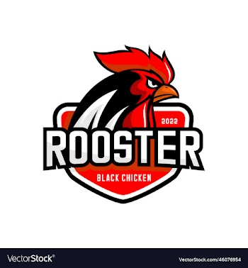 rooster angry