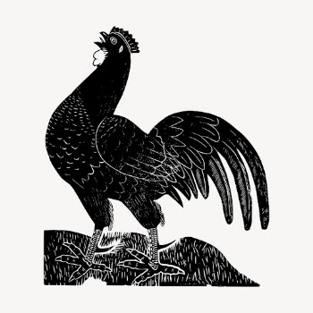 Rooster, animal illustration vector. Free | Free Vector Illustration - rawpixel