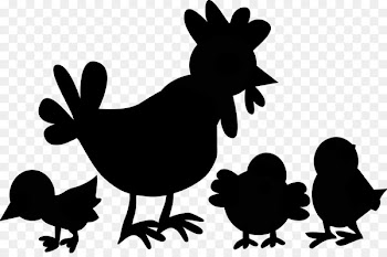 Rooster, Black White M, Fauna, Chicken PNG