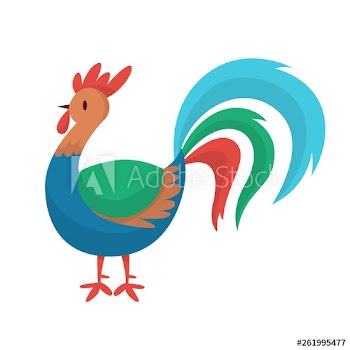 Rooster chicken