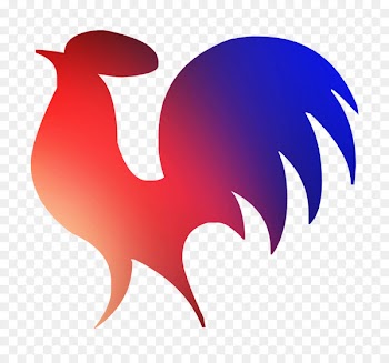 Rooster Chicken as food Clip art Beak -  