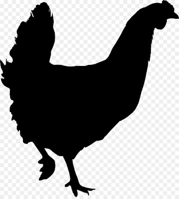 Rooster Chicken Clip art Fauna Silhouette -  
