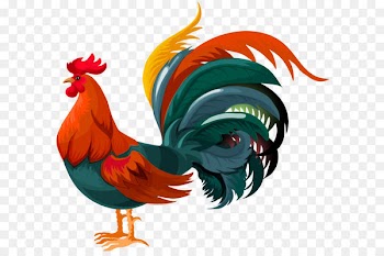 Rooster Chicken Clip art - Rooster Transparent PNG Clip Art Image 