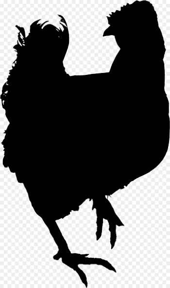 Rooster Chicken Clip art Silhouette Fauna -  