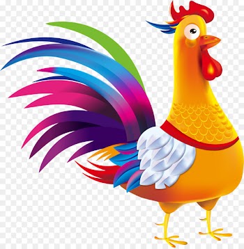 Rooster Chicken Clip art - Vector hand painted large cock 