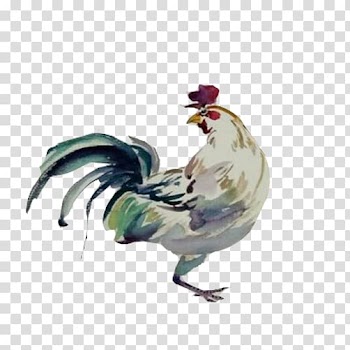 Rooster Chicken Painting, Cock color ink painting material transparent background PNG clipart