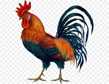 Rooster Chicken Symbol Chinese zodiac - Cock PNG 