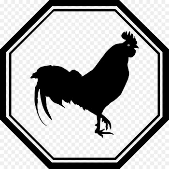 Rooster Chinese zodiac Rabbit Monkey - calendar year of the rooster 