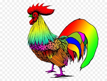 Rooster Clip art Phasianidae Illustration Portable Network Graphics - ape pennant 