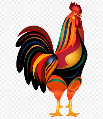 Rooster Clip art - Rooster PNG Transparent Clip Art Image 