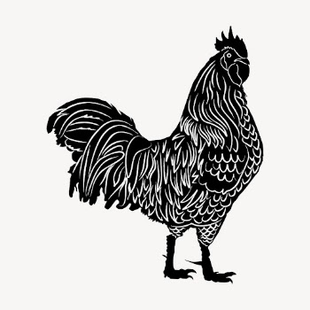 Rooster, farm animal clipart, vintage | Free Vector - rawpixel