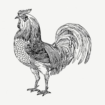 Rooster, farm animal collage element, | Free PSD - rawpixel