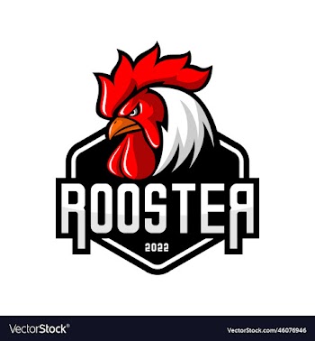 rooster fight