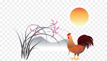 Rooster Lichun Chicken Chinese New Year Chinese zodiac - Vector Sunrise with cock 
