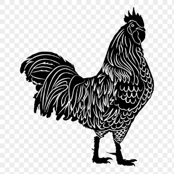Rooster png, farm animal drawing | Free PNG - rawpixel