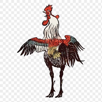 Rooster png, farm animal sticker | Free PNG - rawpixel