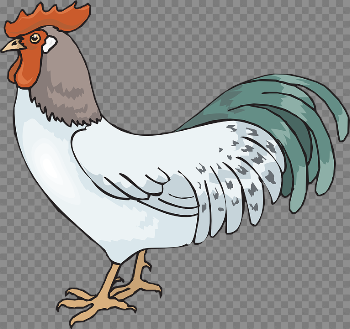 Rooster PNG Pic
