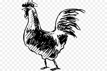 Rooster Rubber stamp Postage Stamps Natural rubber Postage stamp design - chicken 