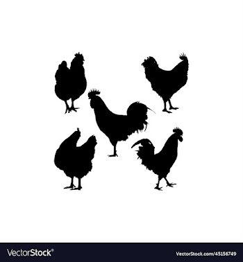 rooster set silhouette icon logo