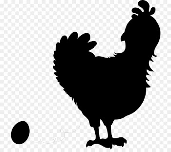 Rooster, Silhouette, Fauna, Chicken PNG