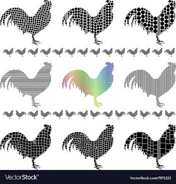 Rooster Silhouette Set vector image