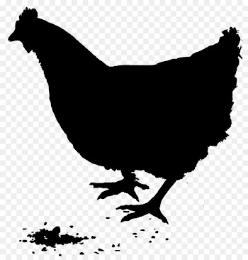 Rooster Silhouette Vector graphics Chicken as food Rhode Island Red -  