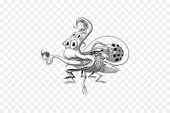 Rooster Sketch Chicken Bird Drawing - chicken 