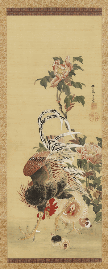 rooster standing in wide stance, | Free Photo - rawpixel