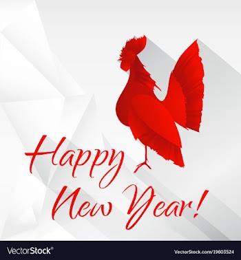Rooster symbol of 2017 vector image