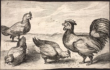 Rooster with three hens | Free Photo - rawpixel