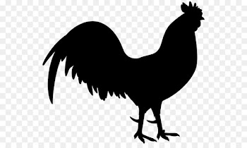 Rooster World Clip art Silhouette Fauna -  