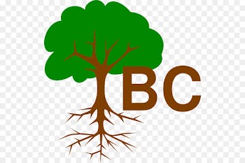 Root Fruit tree Clip art Branch - tree 