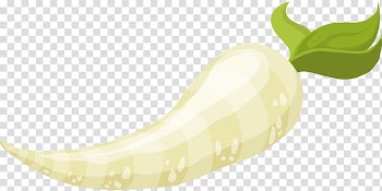 Root Vegetables Food Parsnip , root transparent background PNG clipart