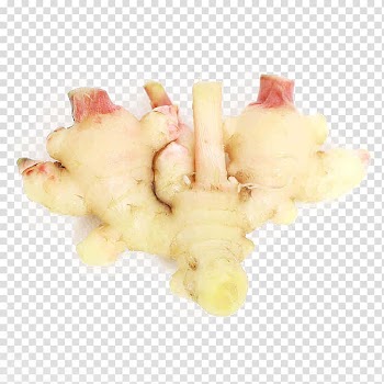Root Vegetables Ginger Germination, Sprouting ginger transparent background PNG clipart