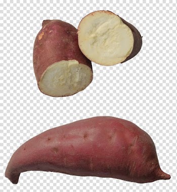 Root Vegetables Sweet potato Food, yam transparent background PNG clipart