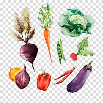 Root Vegetables Watercolor painting Drawing, vegetable transparent background PNG clipart