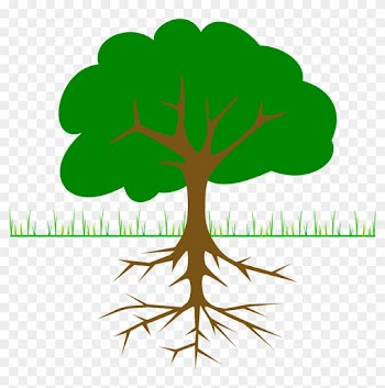Roots Clipart Transparent - Tree Clip Art