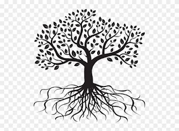 Roots The Best Worksheets Image Collection - Arbol De La Vida Con Raices