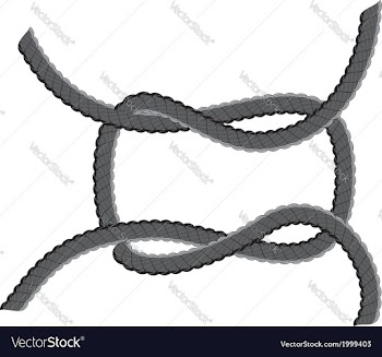 Rope Loop3 vector image