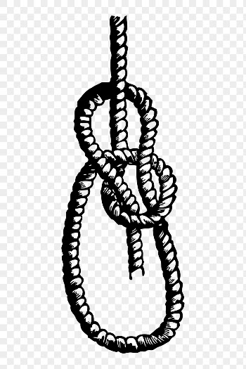 Rope png sticker, bowline knot | Free PNG - rawpixel