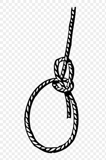 Rope png sticker, lariat loop | Free PNG - rawpixel