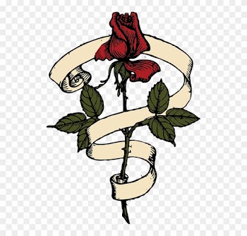 Rosa Com Desenho Vetorial De Rolagem - Rose Scroll
