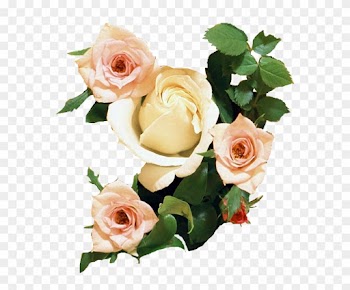 Rosa De Papel Tapiz De Desktop De Ramo De Flores De - Wedding Anniversary Wishes With Flowers