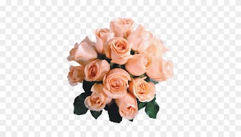 Rosa ,en Formato Png - Roses Saumon