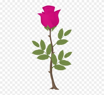 Rosa, Flower, Roses, Pink Vector, Pink Flowers - Zazzle Rose Tree Sweatshirt