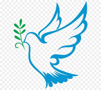 Rosa Lindsey Insurance Confirmation First Communion Holy Spirit Fort Stockton - others 