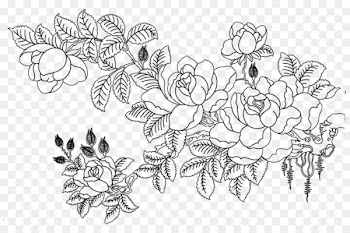 Rosa multiflora Drawing Flower Sketch - Flower sketch 