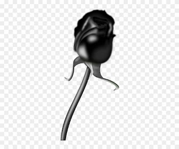 Rosa Negra - Animated Roses Images Black And White