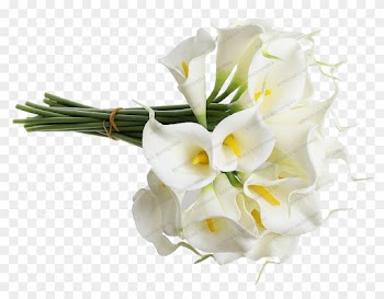 Rosa Palo De Rosa - Wedding Bouquet